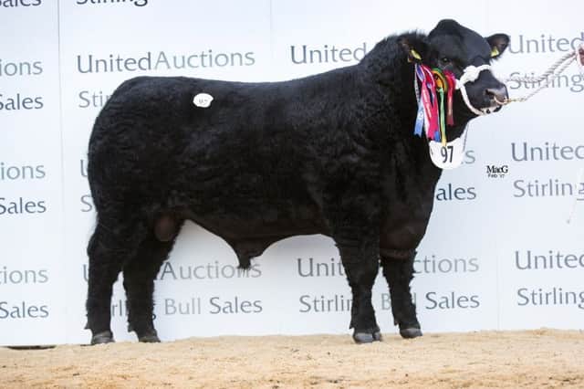 Paying 10,000gns for the overall champion Cheeklaw Jake Eric R535, were Albert and Jennifer De Cogan for their successful Mogeely herd, Co Cork.
