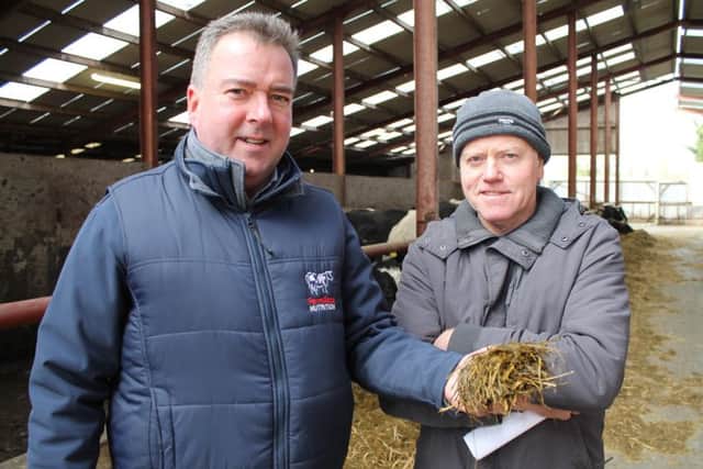 Gareth Anderson, FarmGate Nutrition discusses silage quality with Seamus Quinn, Ardboe at the RMS open day