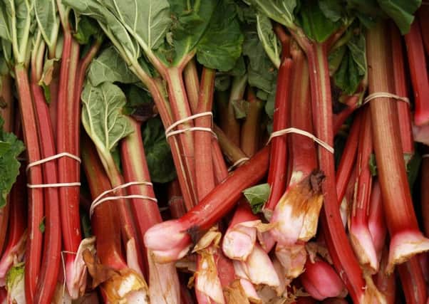 A Generic Photo of bundles of rhubarb sticks. See PA Feature GARDENING Gardening Column. Picture credit should read: PA Photo/JupiterImages Corporation. WARNING: This picture must only be used to accompany PA Feature GARDENING Gardening Column.