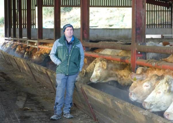 Thomas McKelvey with his cattle at his farm at Ballynahinch