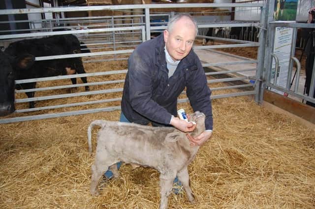Francis Connon uses Provita Protect for all his newborn calves