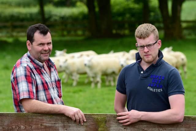 Danny and Darren McKay, Ballymena with some of their Rohan Texel Flock