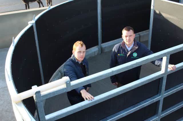 Teemore's Adrian Bates (right) out on farm with Lisburn beef producer Jonathan Kyle