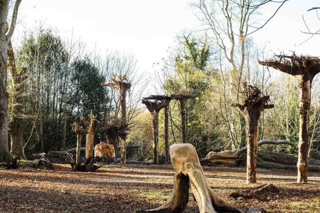 Upside down trees in the Magic Ink Pot themed natural play area at Mount Stewart