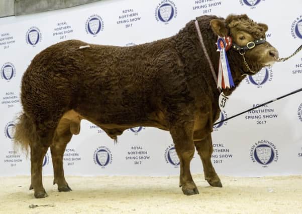 Westpit Lampard sold for 7,000gns