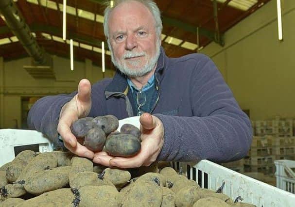 Paul Watts with his Purple Magic Potato
