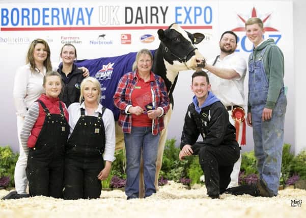 Borderway UK Dairy Expo 2017 Champion of Champions Peak Goldwyn Rhapsody, owned by Yasmin Bradbury (centre) along with her show team