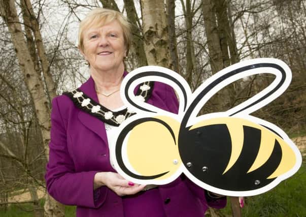 Councillor Audrey Wales, MBE, the Mayor of Mid and East Antrim Borough is shown backing the Bee-licious project