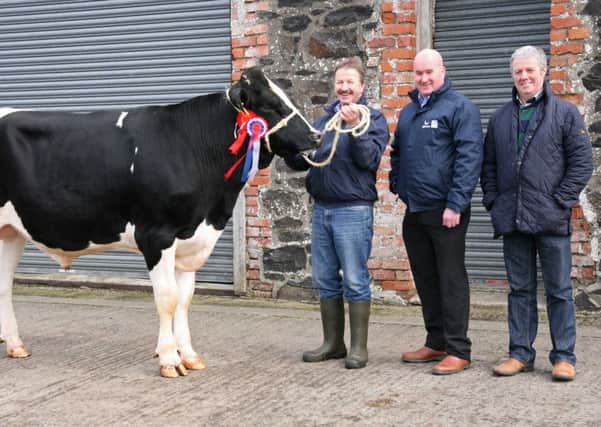 Champion at Holstein NI's Kilrea bull sale was Glasson Sarson exhibited by Philip Haffey, Portadown. Included are sponsor Gareth Bell, Genus ABS; and judge Wilson Patton, Newtownards. Picture: John McIlrath.