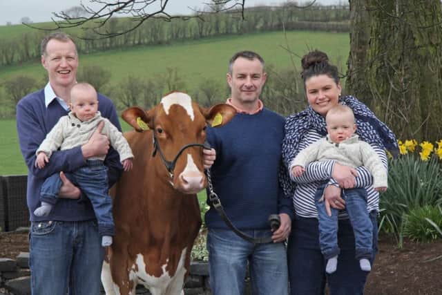 The Smyth family Gareth, Judith, Austin and Wallace, from the Ballyweaney Herd in Cloughmills, are hosting Holstein NI's Open Day on Saturday 22nd April. They are pictured with club vice chairman Tommy Henry. Picture: Julie Hazelton