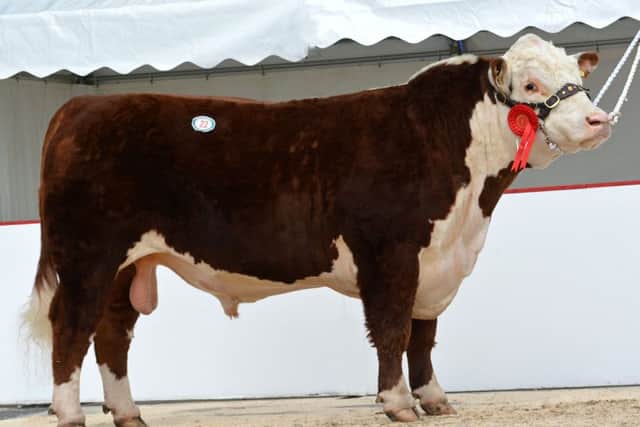 Lot 22 'Fisher 1 Monarch'  from W J Hutchings and Sons, Chichestter, sold at 6,000gns