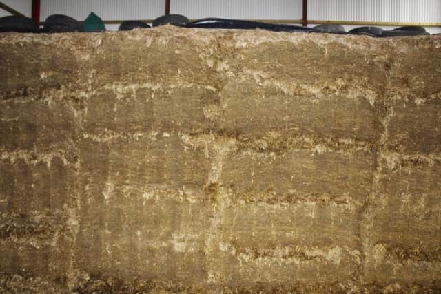 Using Advance+ silage inoculant and effective rolling resulted in no waste on this Cyrils clamp