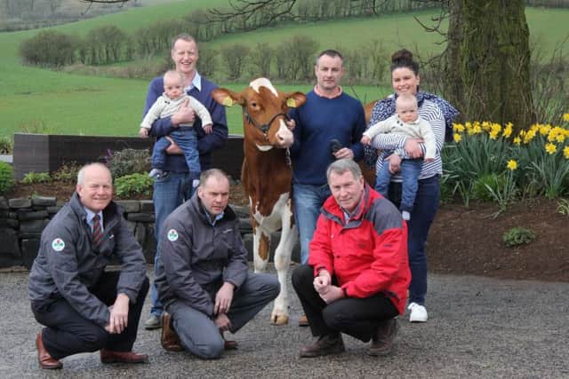 The countdown is on ahead of Holstein NI's 2017 Open Day on Saturday 22nd April. Pictured are hosts Gareth and Judith Smyth, with twin sons Austin and Wallace, Cloughmills; Tommy Henry, chairman, Holstein NI; and sponsors Nigel Kemp and Ivan Dunn, Lacpatrick, with Alastair Sampson, Ecosyl from Volac. Picture: Julie Hazelton