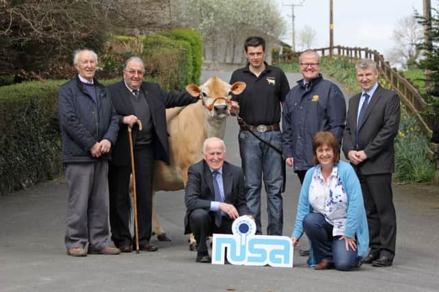 Pictured at the launch of the 2017 McLarnon Feeds/Northern Ireland Shows Association Dairy Cow Championship, to be held at Antrim Show on Saturday 22nd July, are (standing L to R): Fred Duncan (Antrim Show Chairman), Brian King (NISA), Lindsay Fleming (Potterswalls Jerseys), Ronald Annett (McLarnon Feeds), Gordon Donaldson (John Thompson & Sons), (kneeling) Robert Wallace (Antrim Show Vice Chairman) and Fiona Patterson (NISA Deputy Chairman).