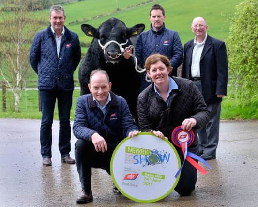 ABP Food Group has been announced as the principal sponsor of Newry Show, taking place on Saturday 24 June. This year the Show plays host to the All Ireland Aberdeen Angus Championships as part of the Ireland leg of the Aberdeen Angus World Forum. Included with Angus bull, Drumhill Lord Harris are front: Roger Sheahan, Plant Manager, ABP, Newry and Kyle Henry, Chairman, Newry Show. Back from left: Niall Kearney, Procurement Manager, ABP; Arthur Callaghan, ABP and Sidney Cromie, Chairman of Cattle committee, Newry Show and NI Aberdeen Angus Club committee member. Photograph: Columba O'Hare