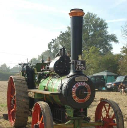 1919 Wallis and Steevens Traction Engine. No. 7683, named Eileen the Erring, which was sold within reserve