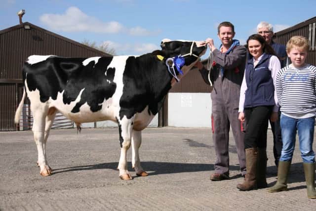 Reserve champion was the Watson family's Majestic Micah Acrobat sold for 2,050gns. Included are Chloe Kyle, Grassland Agro, sponsor; and David Perry, Ahoghill, judge. Picture: John McIlrath