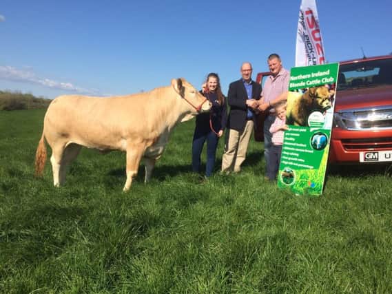 Pictured at the launch are Noel Gormley (sponsor), Roger Johnston (club vice chairman) and his daughter Victoria Johnston alongside a quality pedigree Blonde heifer.