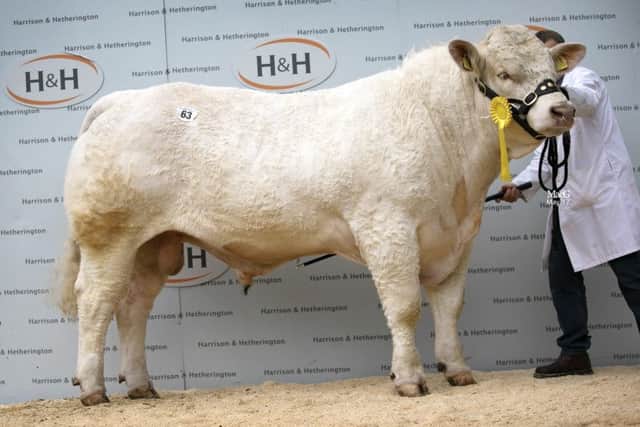 Caylers Lincoln, 10,000gns