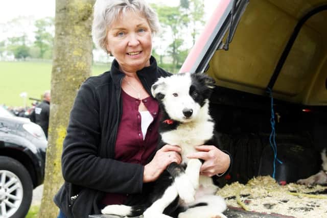 Geraldine McCloskey and Ruby, the top price 1,400gns Skipton pup. Picture: Adrian Legge Photography