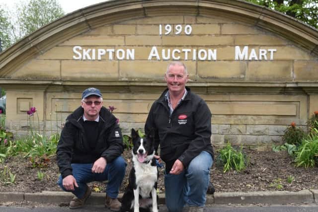 Shaun Richards, right, with his 4,400gns Skipton dog Gill, joined by buyer Jock Sutherland. Picture: Adrian Legge Photography