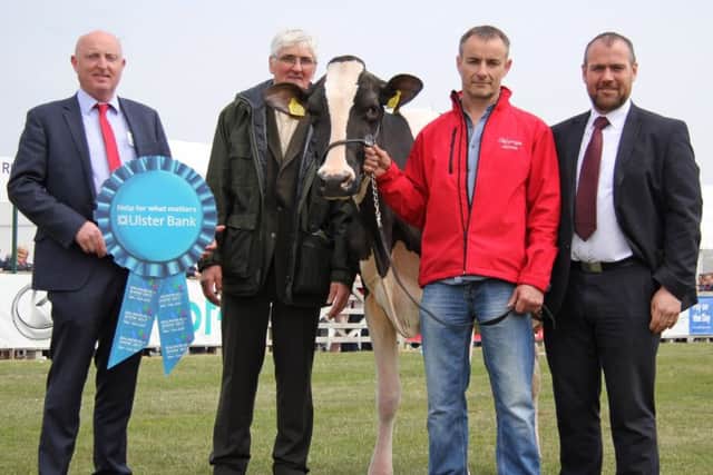 Launching Holstein NI's annual herds inspection competition are sponsors Martin Convery and Connor McNeill, Ulster Bank; with junior section judge David Perry, Ahoghill; and club chairman Tommy Henry. Picture: Julie Hazelton