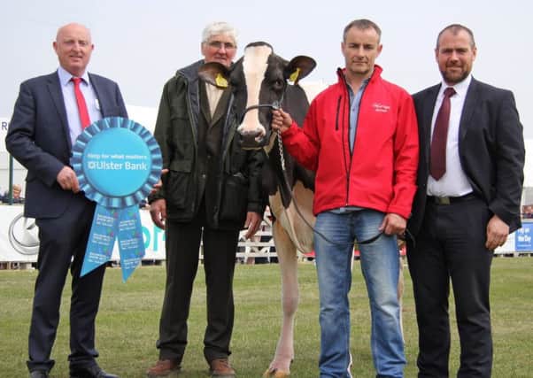 Launching Holstein NI's annual herds inspection competition are sponsors Martin Convery and Connor McNeill, Ulster Bank; with junior section judge David Perry, Ahoghill; and club chairman Tommy Henry. Picture: Julie Hazelton