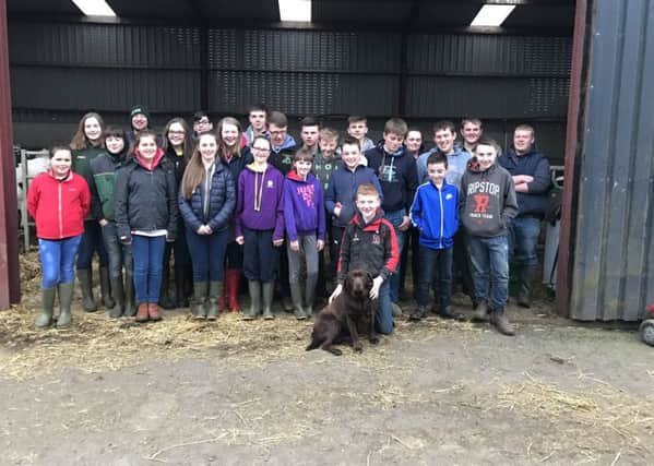 Stock judging practice joint with Kilraughts YFC