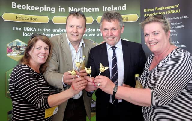 Wendy Gray (Crop Protection Association), Tim McClelland (UFUs VI Strategy Board representative), Barclay Bell (UFU President) and Susie Hill (Chairperson of the Ulster Bee Keepers Association)