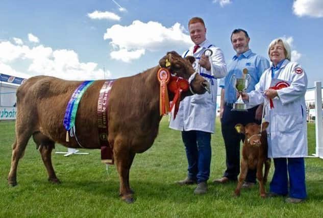 Overall Reserve Champion Ballyloughan Fairytale. Owner Willeen Montgomery is pictured along with James Boyd and Chris from FP McCann (sponsor)