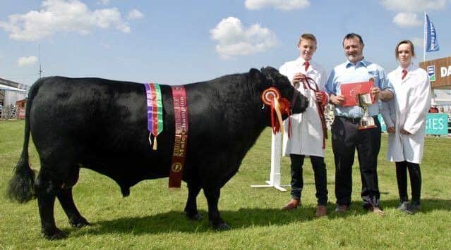 Overall Dexter Champion Northbrook Atlas. Owners Matthew and Alana Bloomer are pictured with Chris from FP McCann (sponsor)