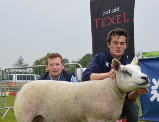 Pictured is Jack Gault and judge Mark Priestley with the Reserve Champion and first place Aged Ewe exhibit from A & J Gault Newtownabbey at Ballymena Show.