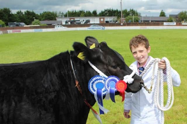 Kile Diamond, from Garvagh, with the Reserve Commercial Beef Champion at Ballymoney Show 2017