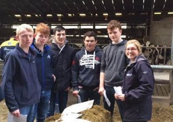 Members from Co Down young farmersÂ’ clubs are pictured with Ulster Bank representative Simon Seaton at the dairy stock judging heats