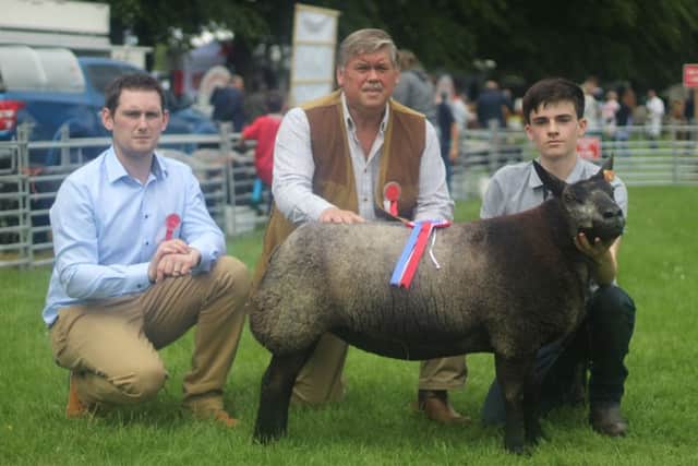 "Cleenagh Angel Eyes", Supreme Blue Texel Champion at Lurgan Show, bred by A & C Richardson, with judges M & J Wright. Â© Nathan Hylands Photography.