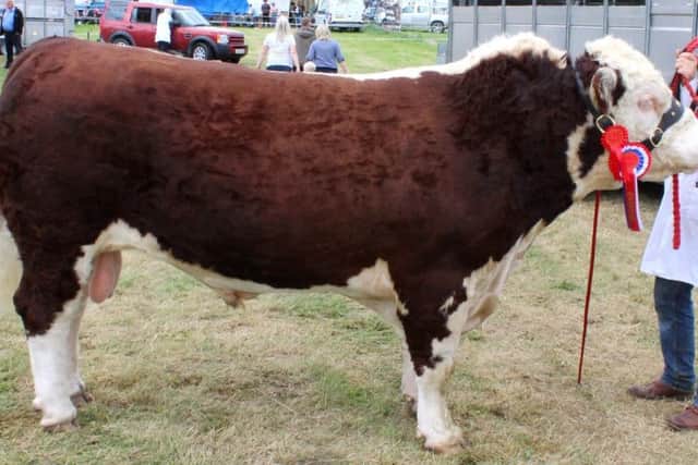 Ciaran Kerr, from Lurgan, with the Hereford and Reserve Beef Inter-Breed Champion at Armagh Show 2017 - Mullaghdoo Poll 1 Elite