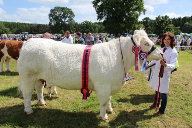 Gail Matchett with the Beef Inter-Breed Champion at Armagh Show 2017: Tawny Jasmin