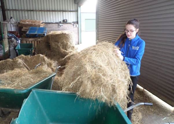 Shannon preparing to feed the horses at Enniskillen Campus as part of her yard duties
