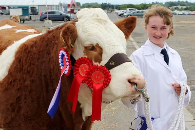 Molly Bradley, from Armagh, with the Simmental Champion at Saintfield Show 2017, owned by Jason Whitcroft