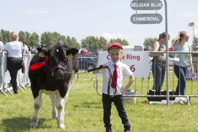 Chloe Hegarty from Bandon, Co Cork, who won the best January Commercial heifer calf female with her calf Chloe at the Cork Summer Show 2017. Picture: Clare Keogh