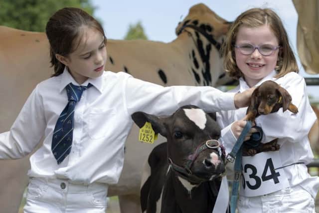 Julie Barrett and Natasha Barrett who exhibited in the Fresian class at the Cork Summer Show 2017. Picture: Clare Keogh