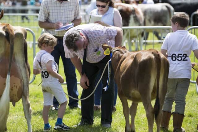 Samuel Kingston of Ballygarvin, reserve champion Jersey, speaking with Eddie Barrett, chief steward, at the Cork Summer Show 2017. Picture: Clare Keogh
