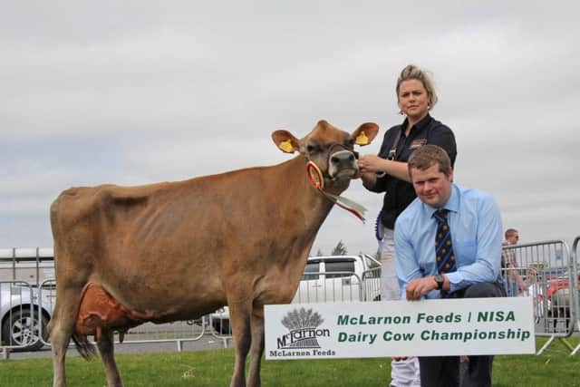 Saintfield Show qualifier for the McLarnon Feeds/NISA Dairy Cow championship was Clandeboye Jazzy Bambi owned by Clandeboye Estate, Bangor. Handler Eleanor O'Neill was congratulated by Philip Donaldson, McLarnon Feeds. Picture: Julie Hazelton/Kevin McAuley Photography Multimedia