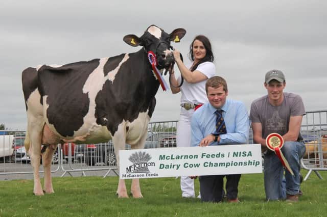 Philip Donaldson, McLarnon Feeds, is pictured with David Simpson and Leiza Montgomery who exhibited Corringham Windbrook Juice EX91, one of the Saintfield Show qualifiers for the McLarnon Feeds/NISA Dairy Cow Championship. Picture: Julie Hazelton/Kevin McAuley Photography Multimedia