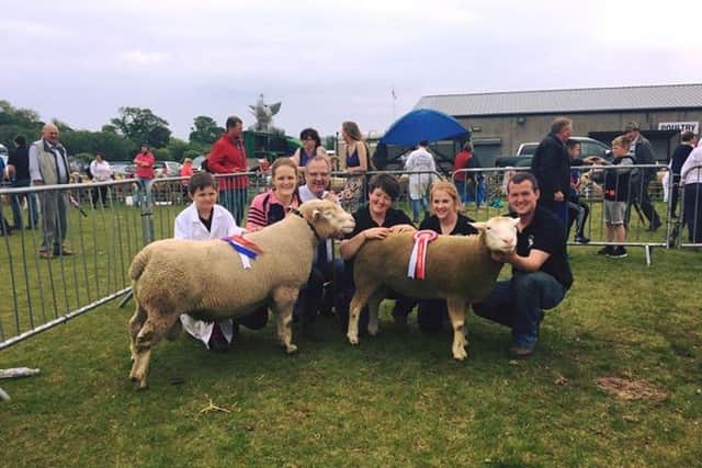Mark Smyth, Georgina Mulligan with her Champion Ram, Judge Rev. Trevor Boyd, Pauline Milligan, Paula Harkness and Roger Milligan with his Reserve Champion