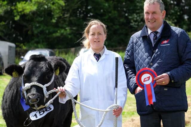 Robert Miller, Moneymore owned the Reserve Commercial Champion at the ABP Newry Show and handler Alise Callaghan is pictured along with Niall Kearney, ABP, sponsors.