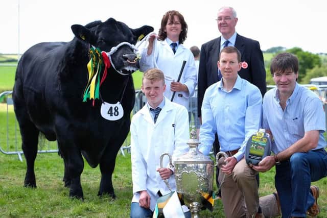 Cheeklaw Emlyn owned by the Matchett family, Portadown was the winner of the All Ireland Aberdeen Angus Championship Final at the ABP Newry Show. Gail and Sam Matchett are pictured with judge of the event Desmond Mackie and John Gribbin and Michael McGlynn, Tullyvin, Sponsors.
The Matchetts won 1st Place Senior Bull in the All Ireland Aberdeen Angus Championships with Cheeklaw Emlyn which went on to win the overall Al lreland Angus title while their cow Birches Lady Heather went on to win Female Champion and overall Interbreed Champion at the show.