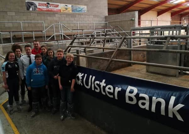 Co Down YFCU members are pictured with Ulster Bank representative Fintan Murray at the Co Down beef and sheep stock judging heats