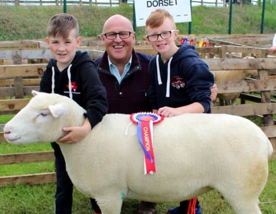 Raymond Hill, from Ballyclare with his sons Christian and Pierce enjoy a successful day out with their Dorset ewe at Omagh Show 2017