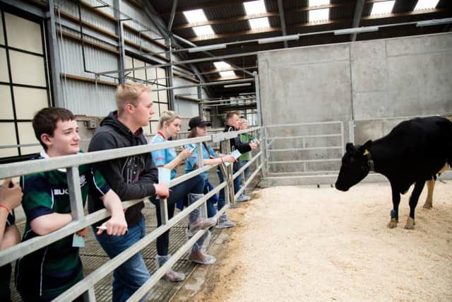 YFCU members pictured at the dairy stock judging finals